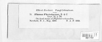 Phomopsis phytolaccae image